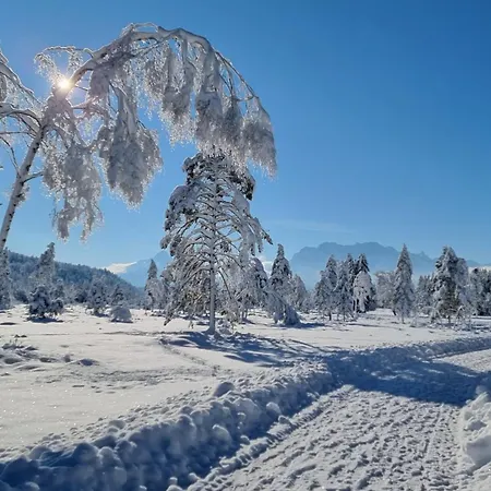 Alpenchalet St.Ulrich-3