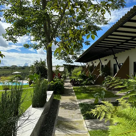 Baum Hotel-2