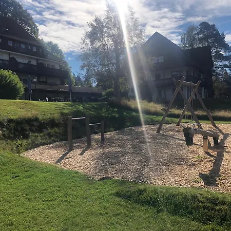 Ferienwohnung Hochschwarzwald-3