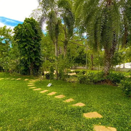 Tropical Garden-2