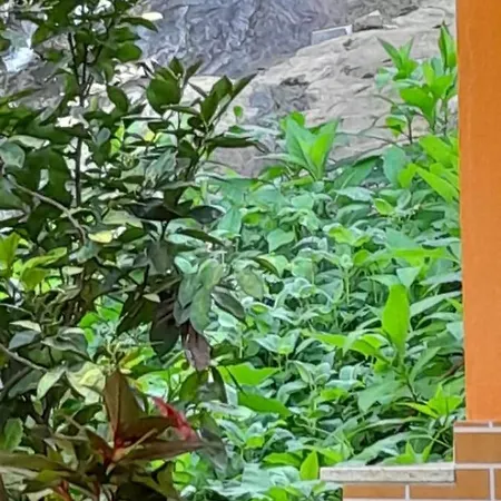 Cantinho do Rio-2