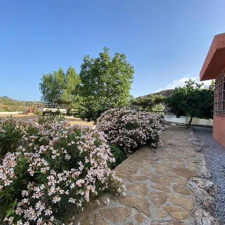 Villa Elisabeth-3