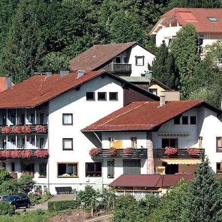 Aparthotel Schwarzwald Panorama-3