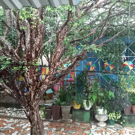 Hostel Jabuticaba Bh-3