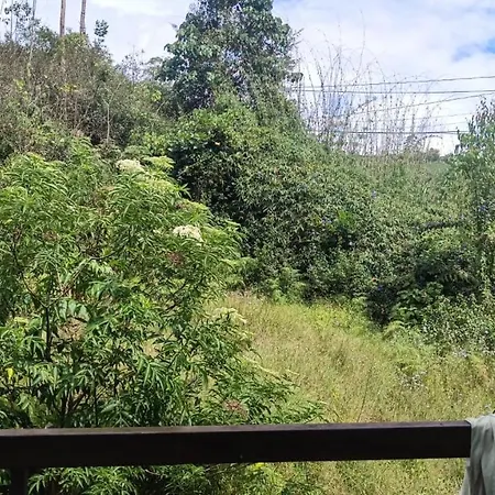 Pavithra Cottage Munnar-2