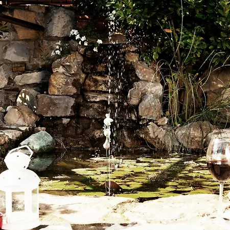 Podere Palazzolo (ADULTS ONLY)-2