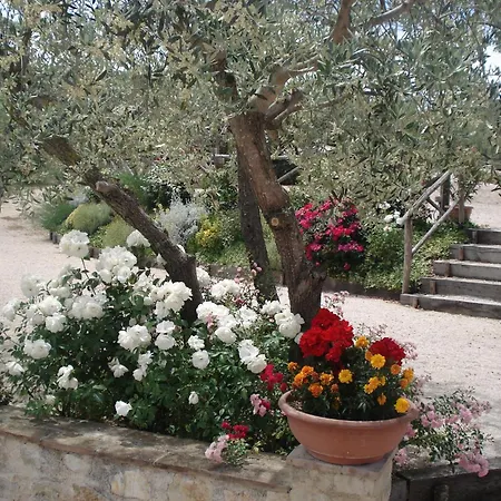 Tenuta Colverano-3