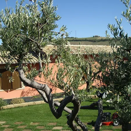 Agriturismo Il Borgo Degli Ulivi-3