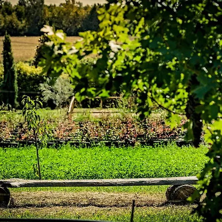 Agriturismo Olistico Atman-2