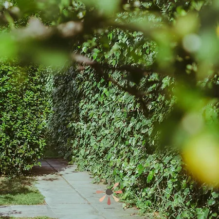 Agriturismo tenuta Margherita-3