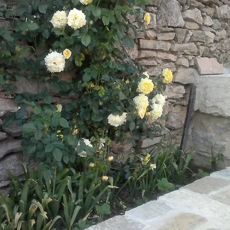 Casa Rural Caseta De L' Hort-3
