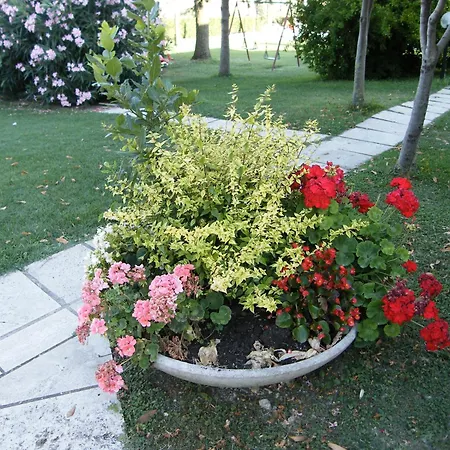 Agriturismo Poggio alle Calle-3