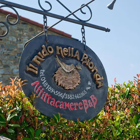 Il Nido Nella Bionda-3