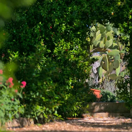 Trullo Sovrano Exclusive B&B-3