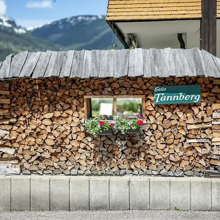Haus Tannberg-2