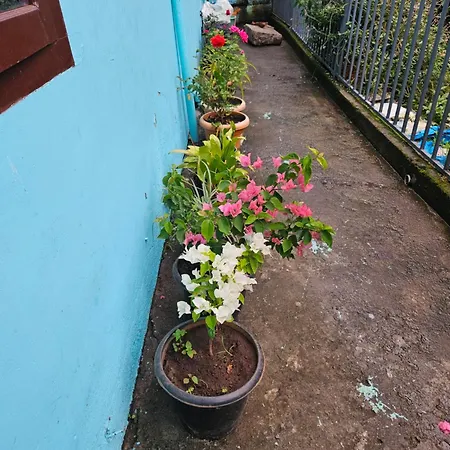Pavithra Cottage Munnar-3