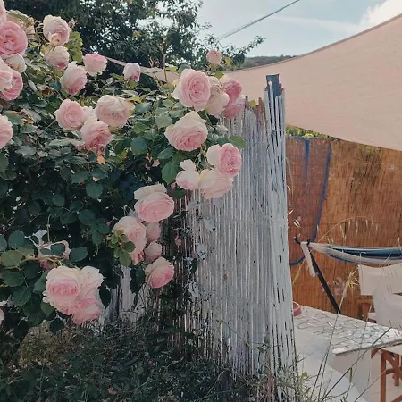 La Casa Rosa-3