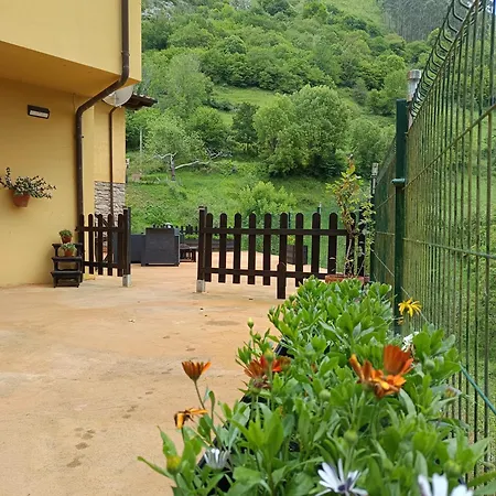Carroceu Rural-2