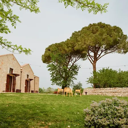 Tenuta Tedone Consolini-3