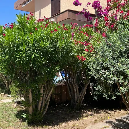 Bilocali Residenza Mediterranea Cannigione-3