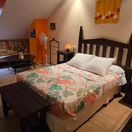 Apartamentos Andrea-2