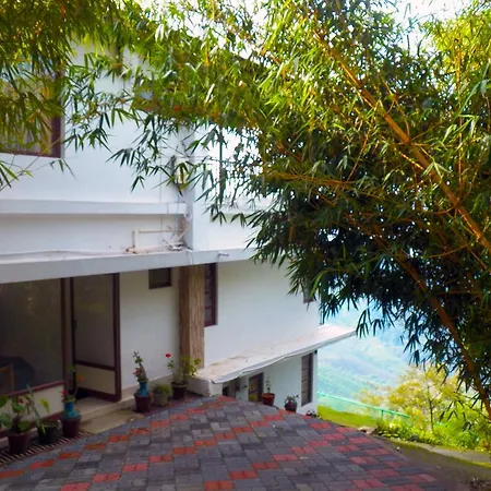Green Magic Home-3