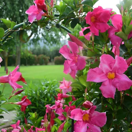 Agriturismo Bocci-2