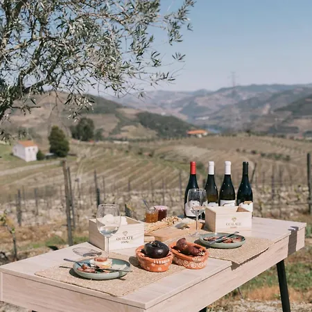 Feel Discovery Quinta Do Muro Douro Valley-3