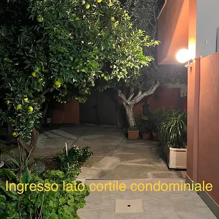 Domus Alice-2