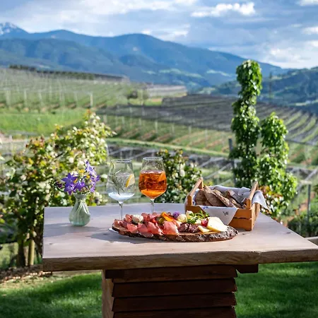 Trinnerhof Hof Chalets And Farm- Panorama Holidays & Brixen Card Bed & Breakfast-2