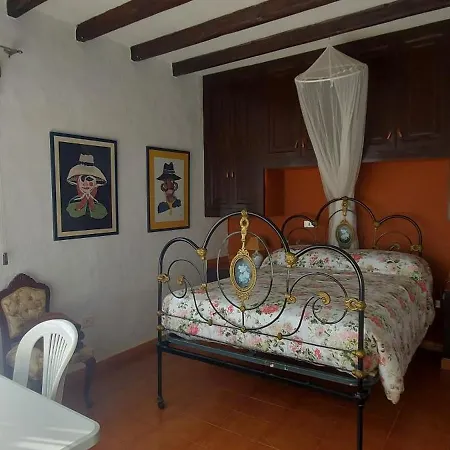 Finca David Galdar-2