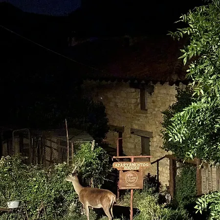 Casas Rurales Chon Alto Tajo-3