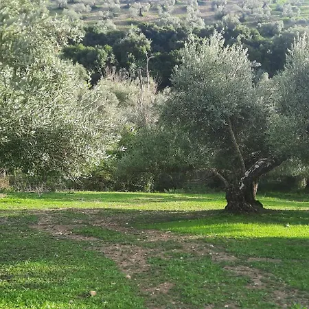 Hacienda Molino Nuevo-2