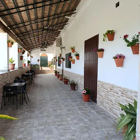 Casa Cortijo Olivar-2