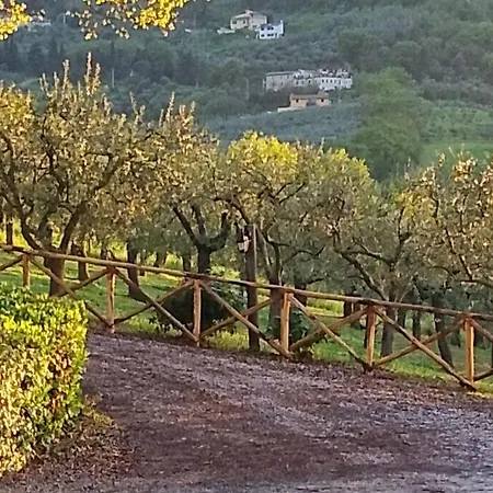 Tenuta Colverano-2