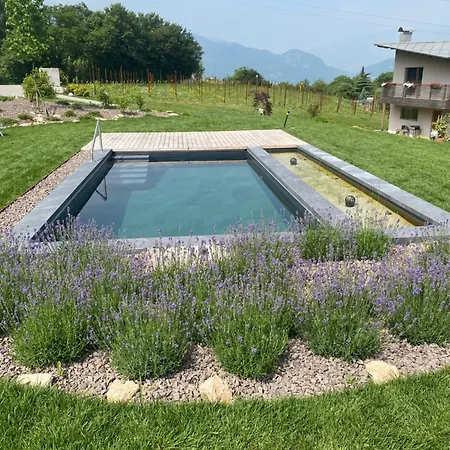 Agritur Verderame-3