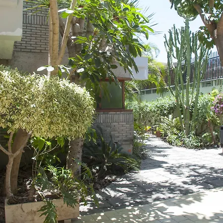 Apartamentos El Paseo-2
