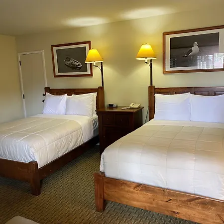 The Olympia Lodge-2