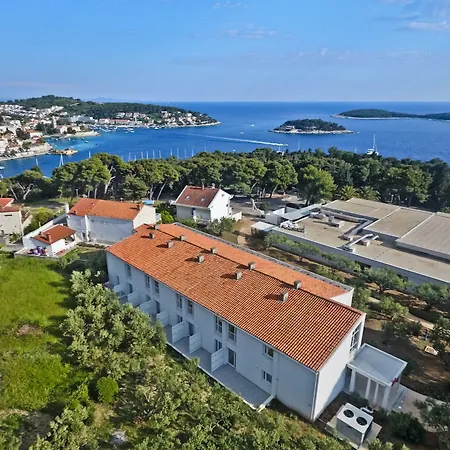 Violeta Hvar-3
