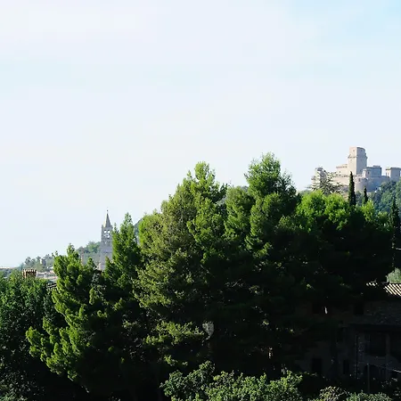 Colle Degli Olivi-3