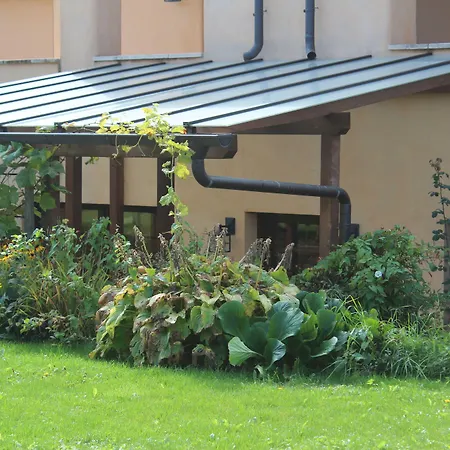 Pension Vanii, Apartments-2