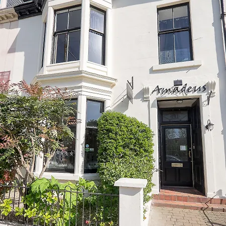 Amadeus Guest House-2