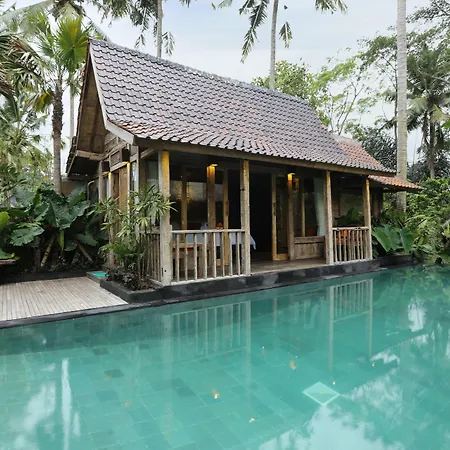 Ubud Virgin Villa-3