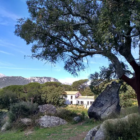 Tambor Del Llano-3