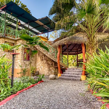 Tree House Beachfront Lodge-2