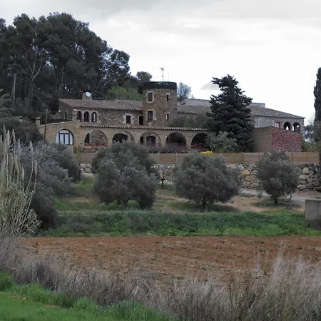 Mas Tomas-2