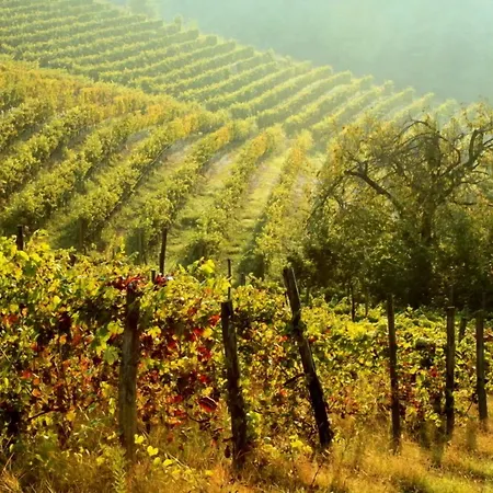 Cascina Desderi-2