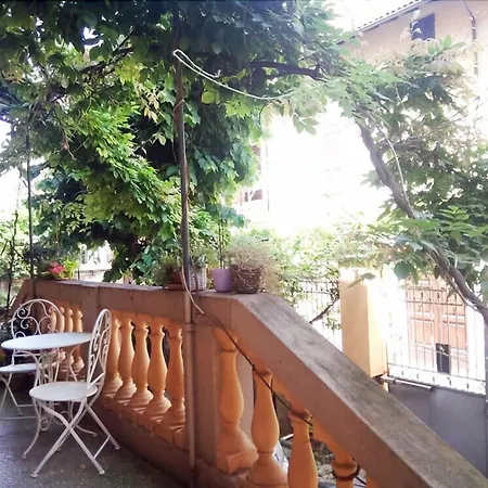 Tilia-2