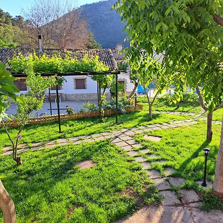 Apartamentos Martin-2