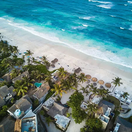 Casa Tira - Your Luxury Jungle Mansion In Tulum-3